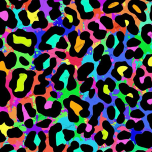 Leopard Rainbow Print